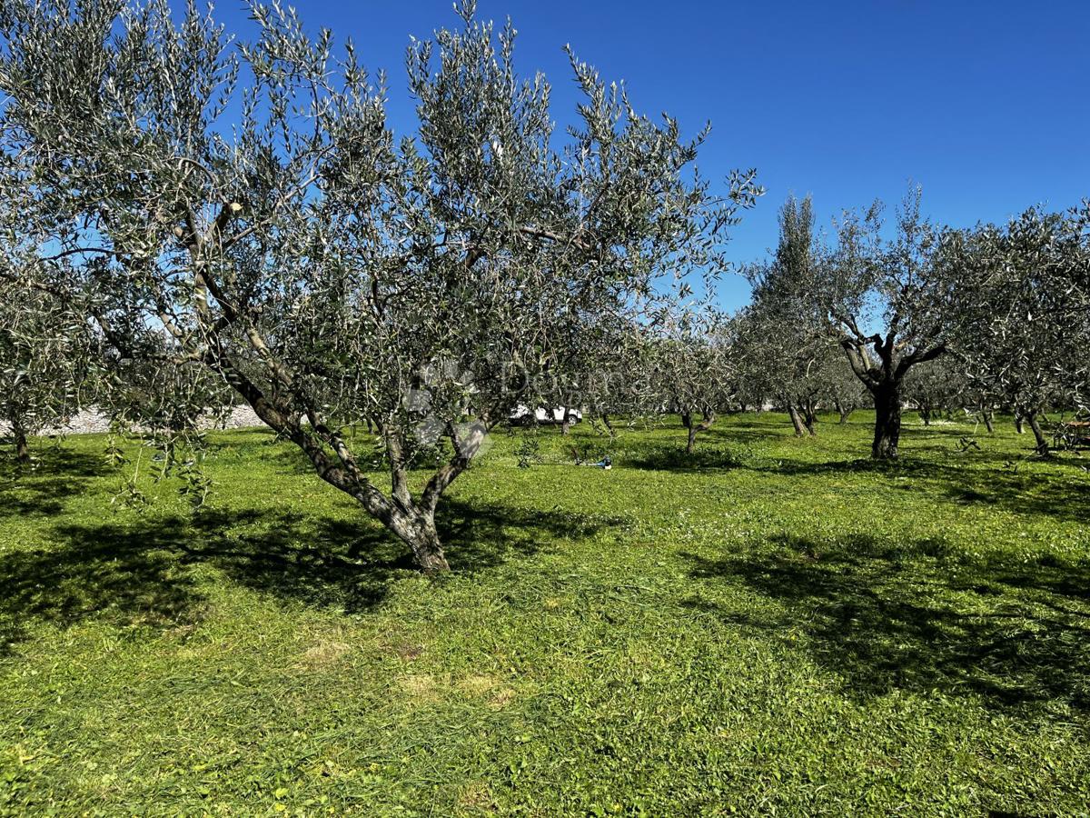 Terreno Fažana, 2.252m2