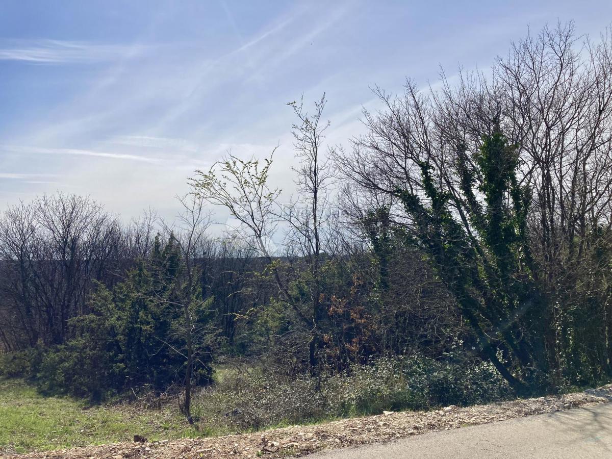 Terreno Barban, 2.928m2