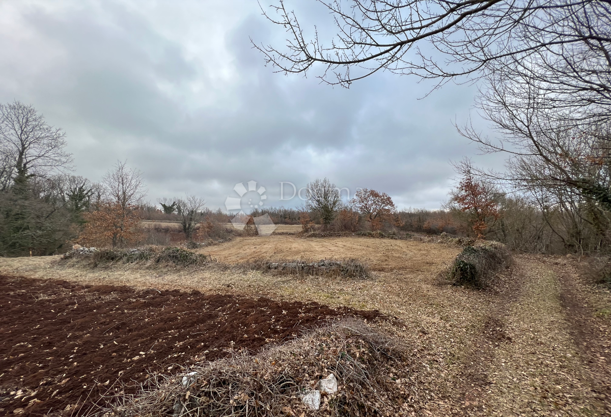 Terreno Barban, 1.115m2