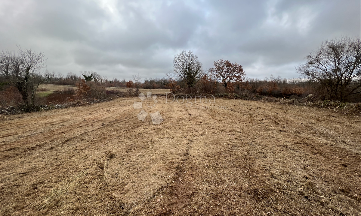 Terreno Barban, 1.115m2