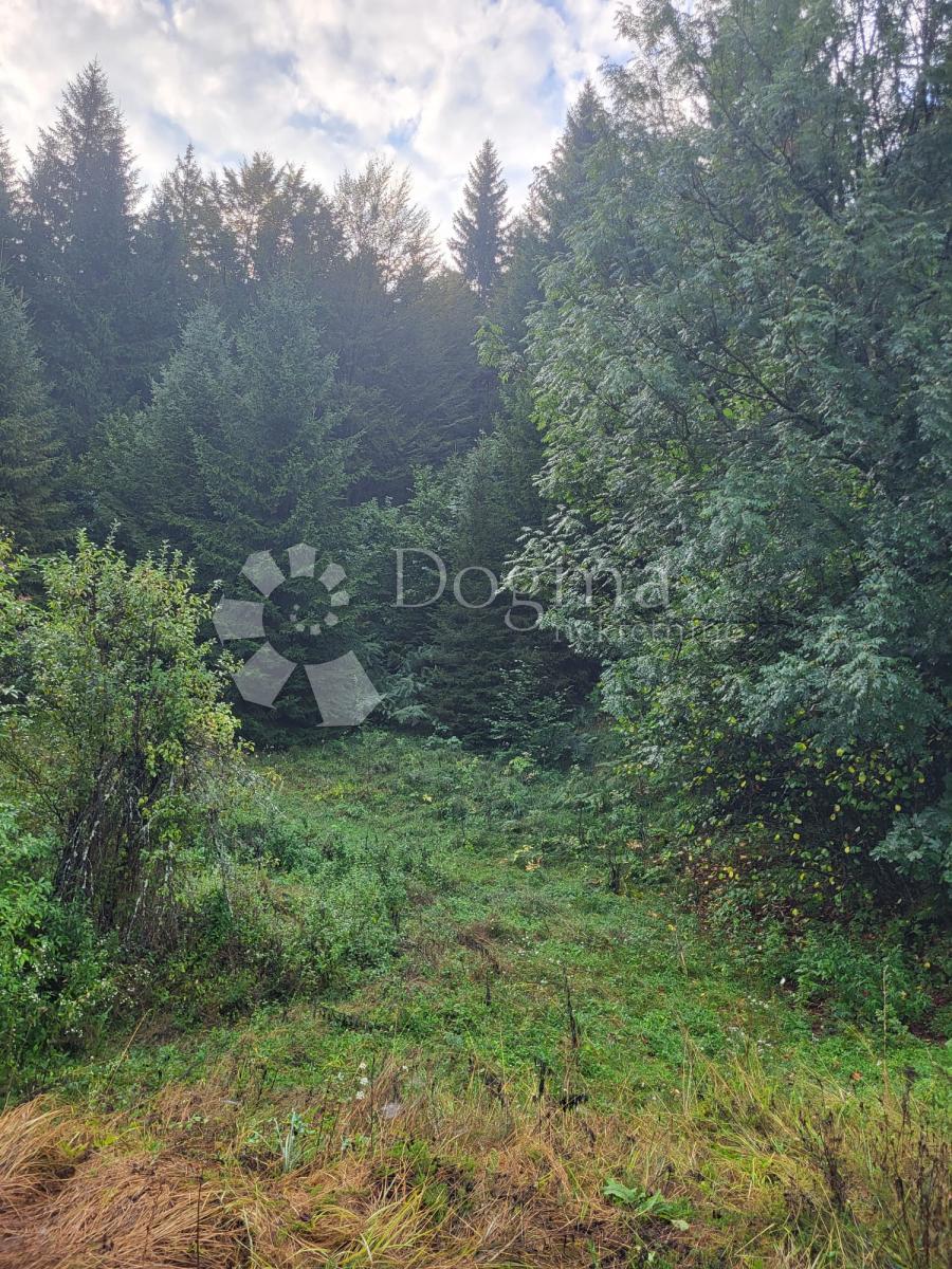 Terreno Stara Sušica, Ravna Gora, 6.600m2