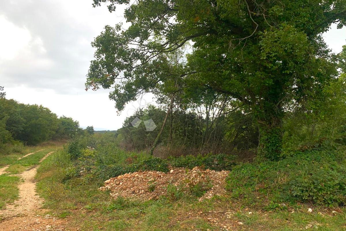 Terreno Belavići, Marčana, 2.005m2