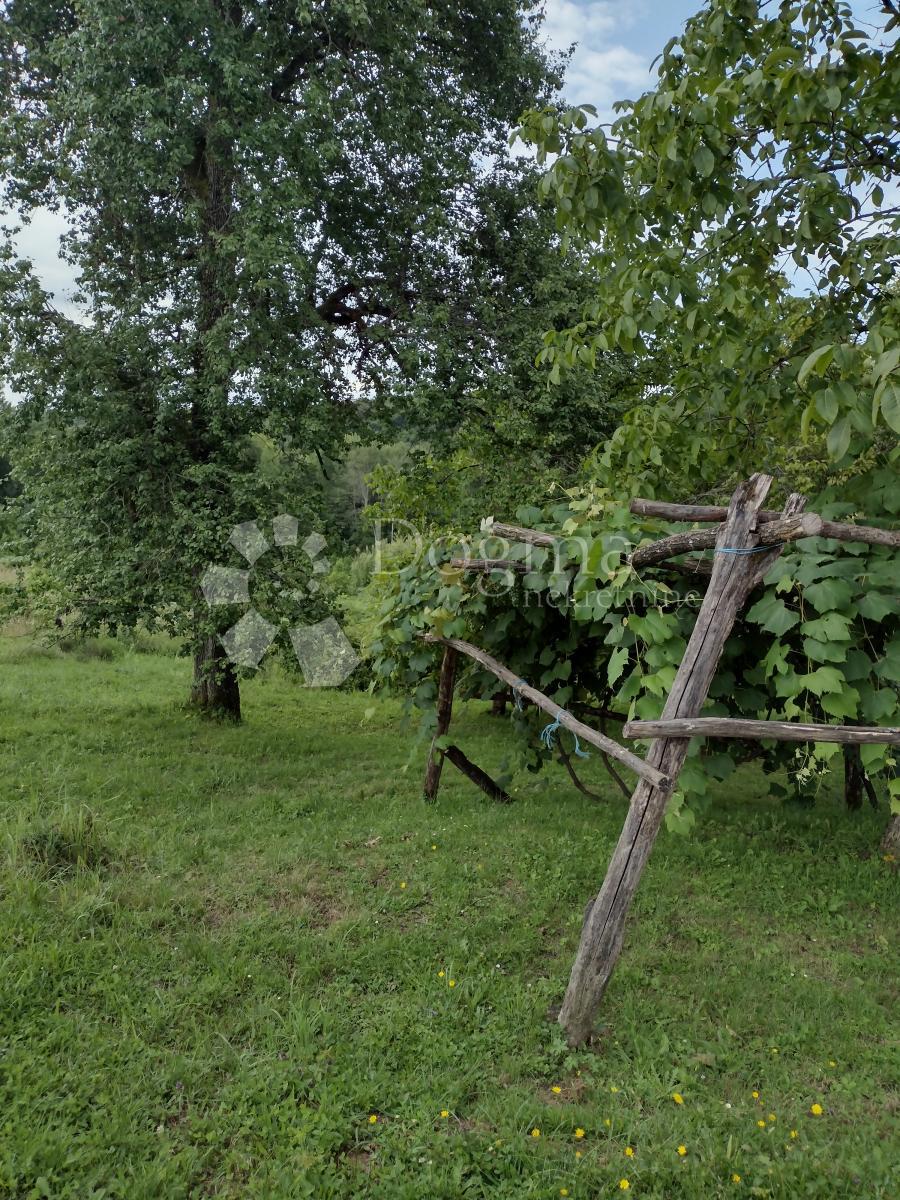 Casa Gornja Trstenica, Gvozd, 160m2