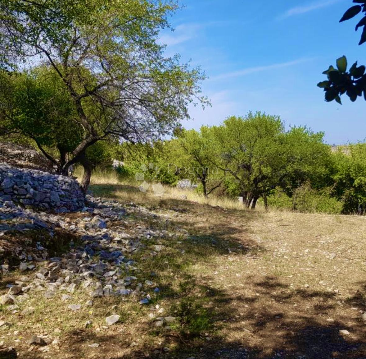 Terreno Nerežišća, 2.343m2
