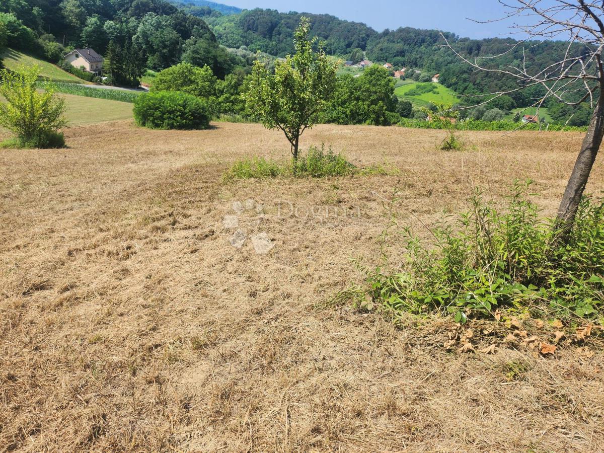 Terreno Bušin, Pregrada, 3.697m2