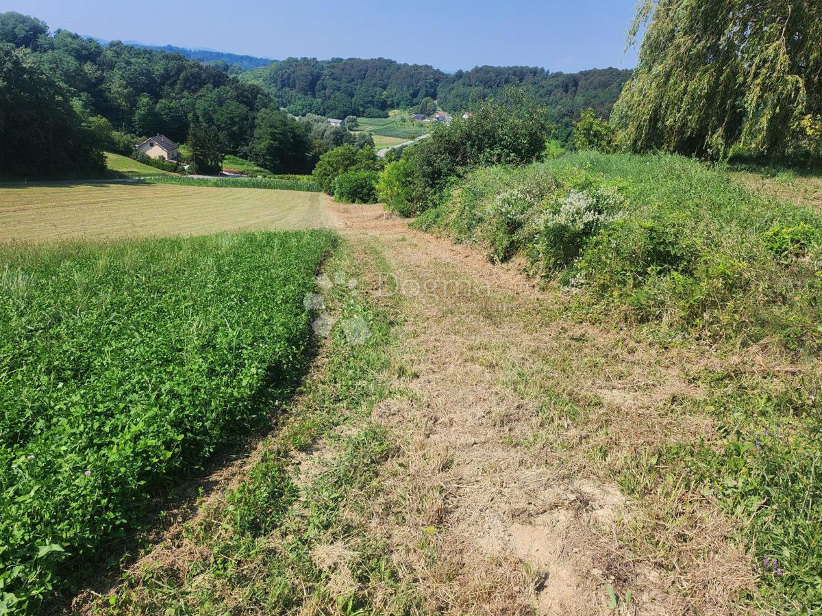 Terreno Bušin, Pregrada, 3.697m2