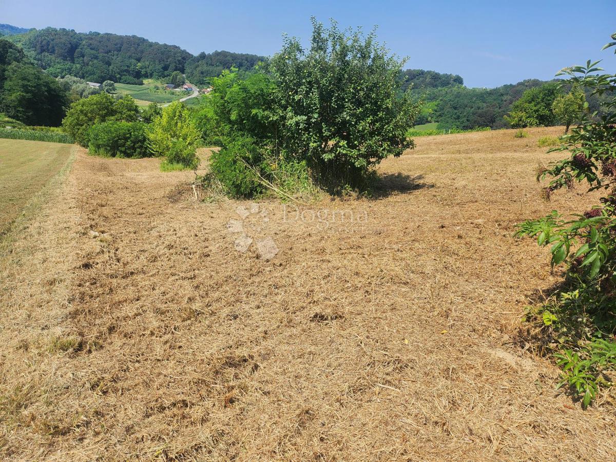 Terreno Bušin, Pregrada, 3.697m2