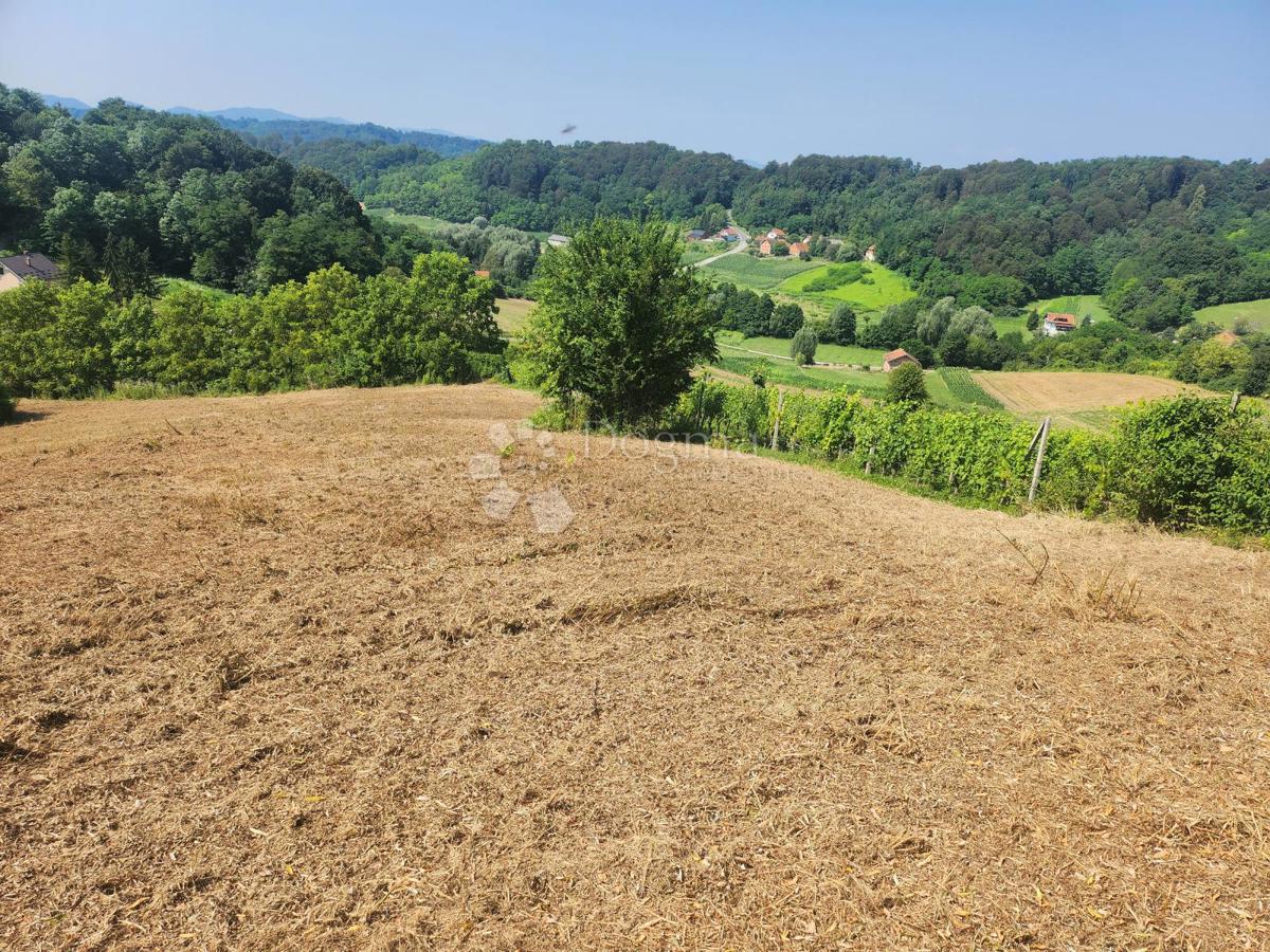 Terreno Bušin, Pregrada, 3.697m2