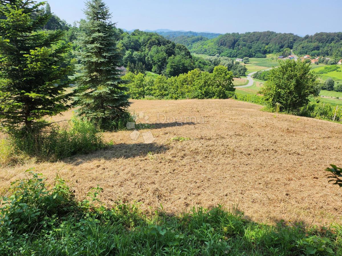 Terreno Bušin, Pregrada, 3.697m2