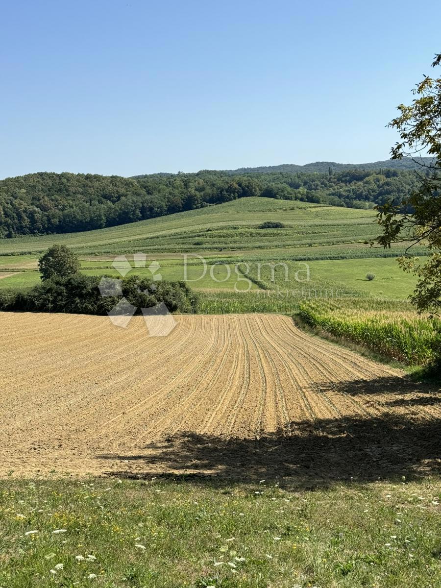 Terreno Pupelica, Šandrovac, 52.628m2