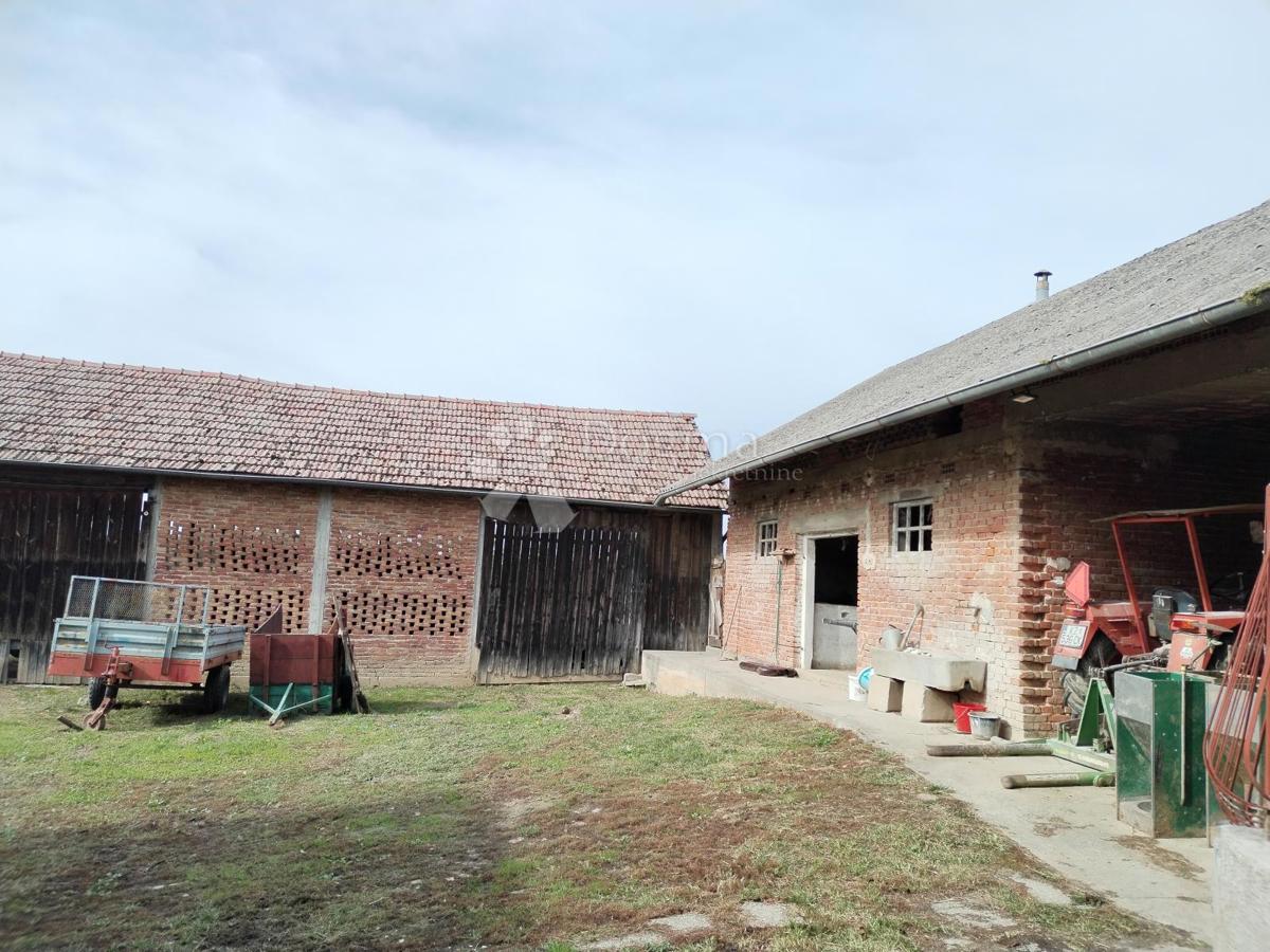 Casa Trema, Sveti Ivan Žabno, 218m2