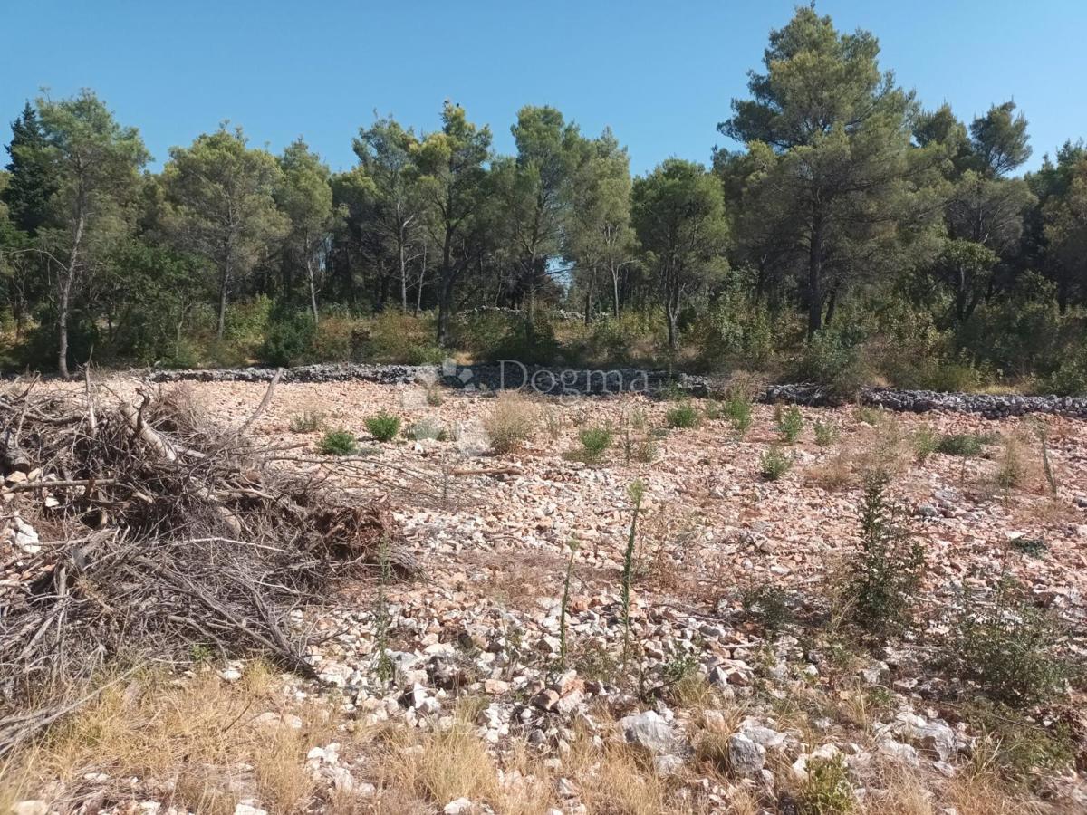 Terreno Dubrava Kod Šibenika, Šibenik - Okolica, 1.000m2