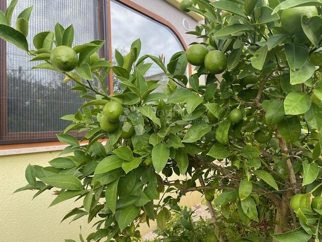 Allogio Istra, 81,05m2