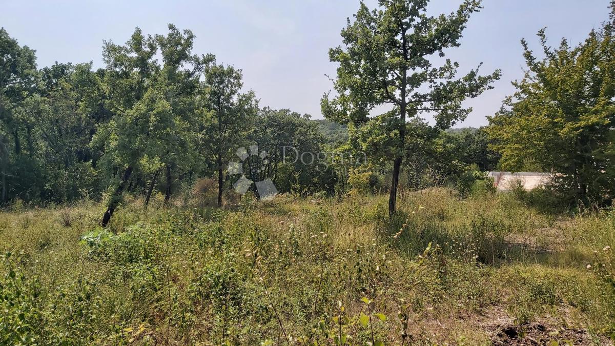 Terreno Edificabile in Posizione Tranquilla, 900m2