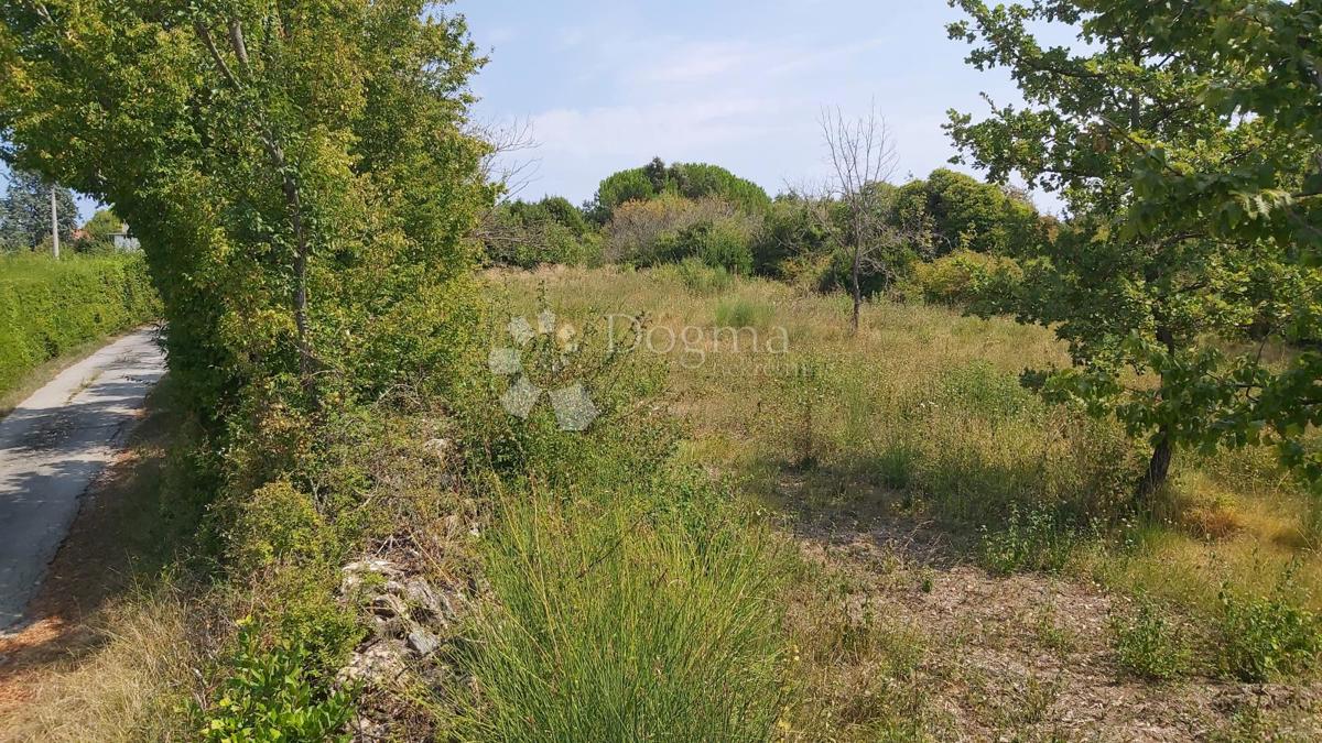 Terreno Edificabile in Posizione Tranquilla, 900m2