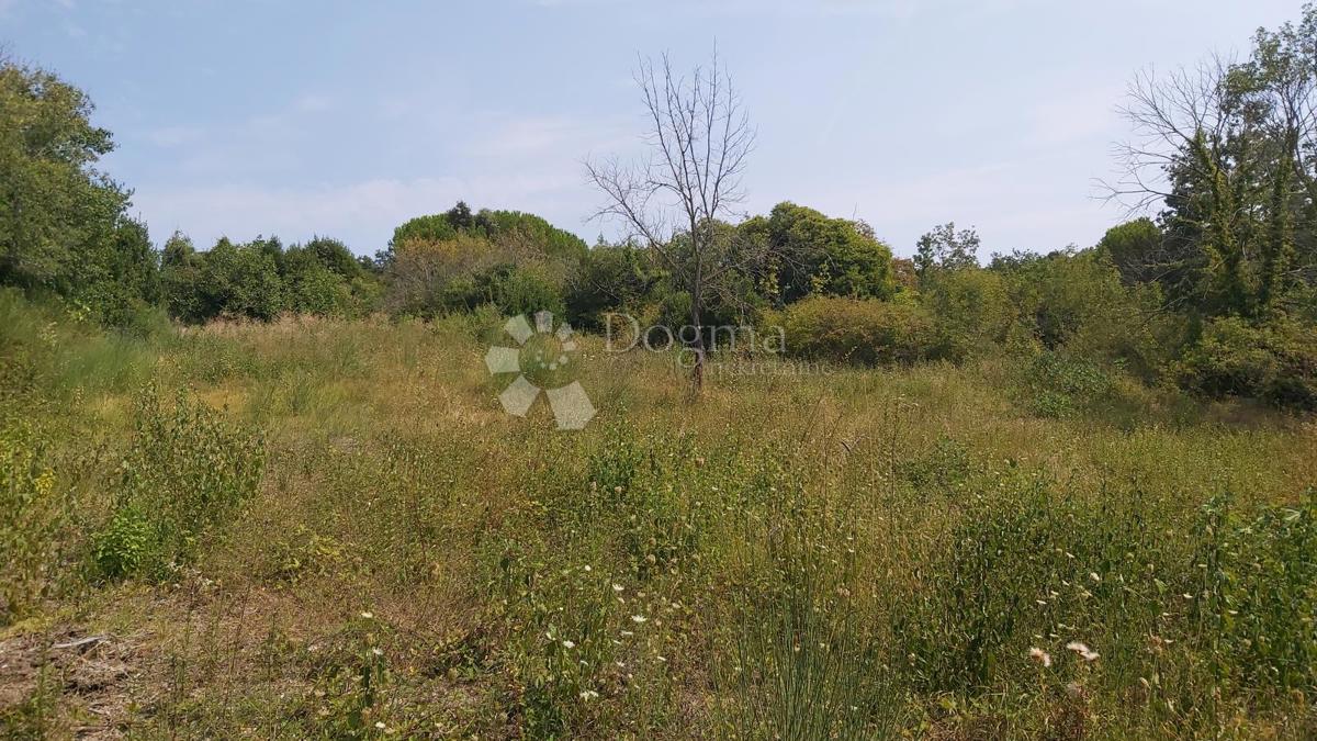 Terreno Edificabile in Posizione Tranquilla, 900m2