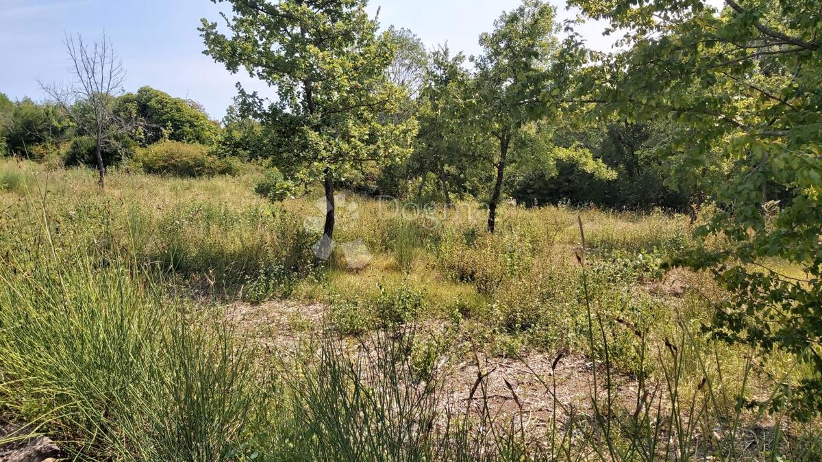 Terreno Edificabile in Posizione Tranquilla, 900m2