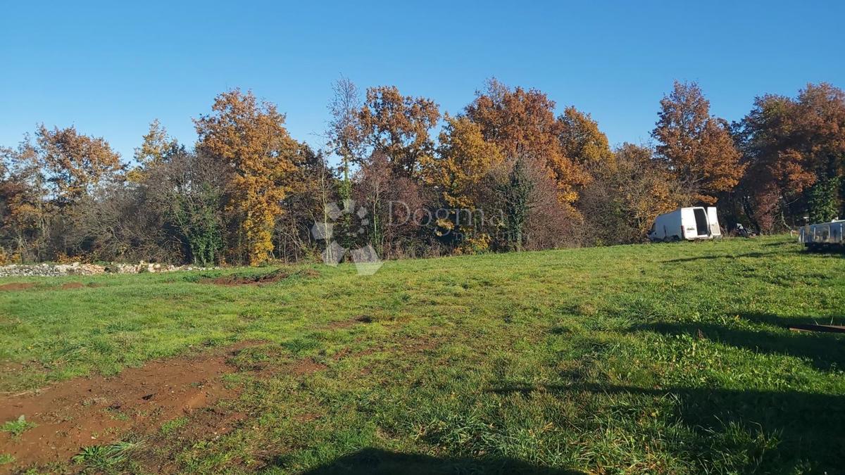 Ampio terreno combinato, 4.300 m²