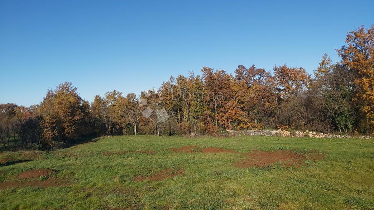 Ampio terreno combinato, 4.300 m²