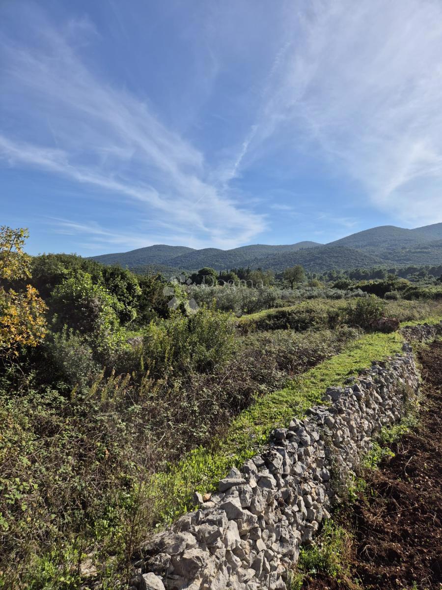 Terreno Račišće, Korčula, 852m2