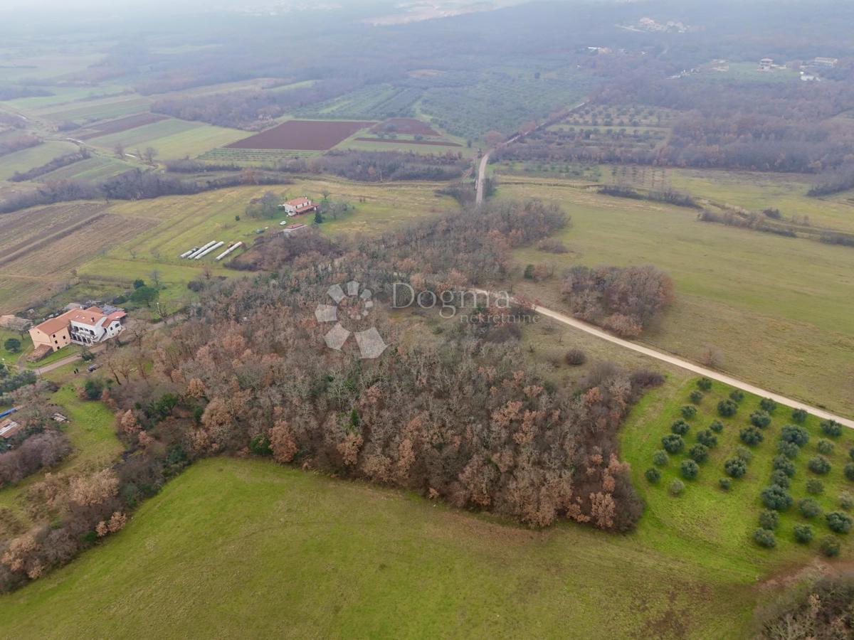 Terreno edificabile Materada, Umag, 414m2