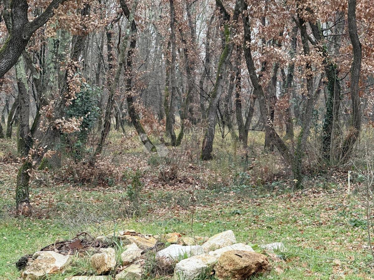 Terreno edificabile Materada, Umag, 414m2