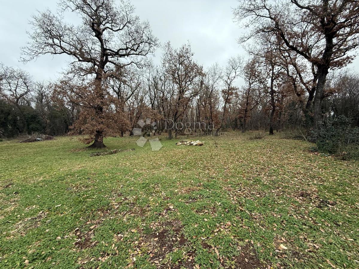 Terreno edificabile Materada, Umag, 414m2