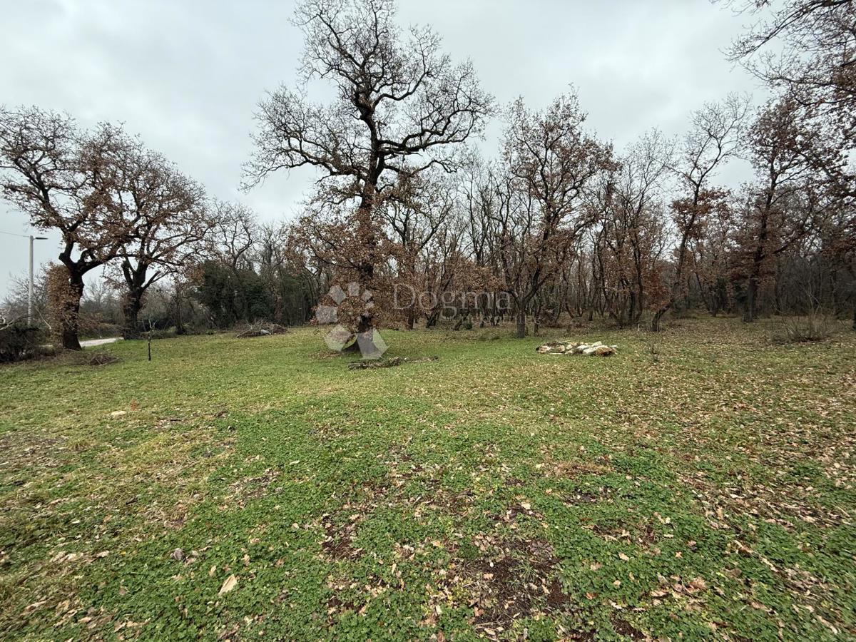 Terreno edificabile Materada, Umag, 414m2