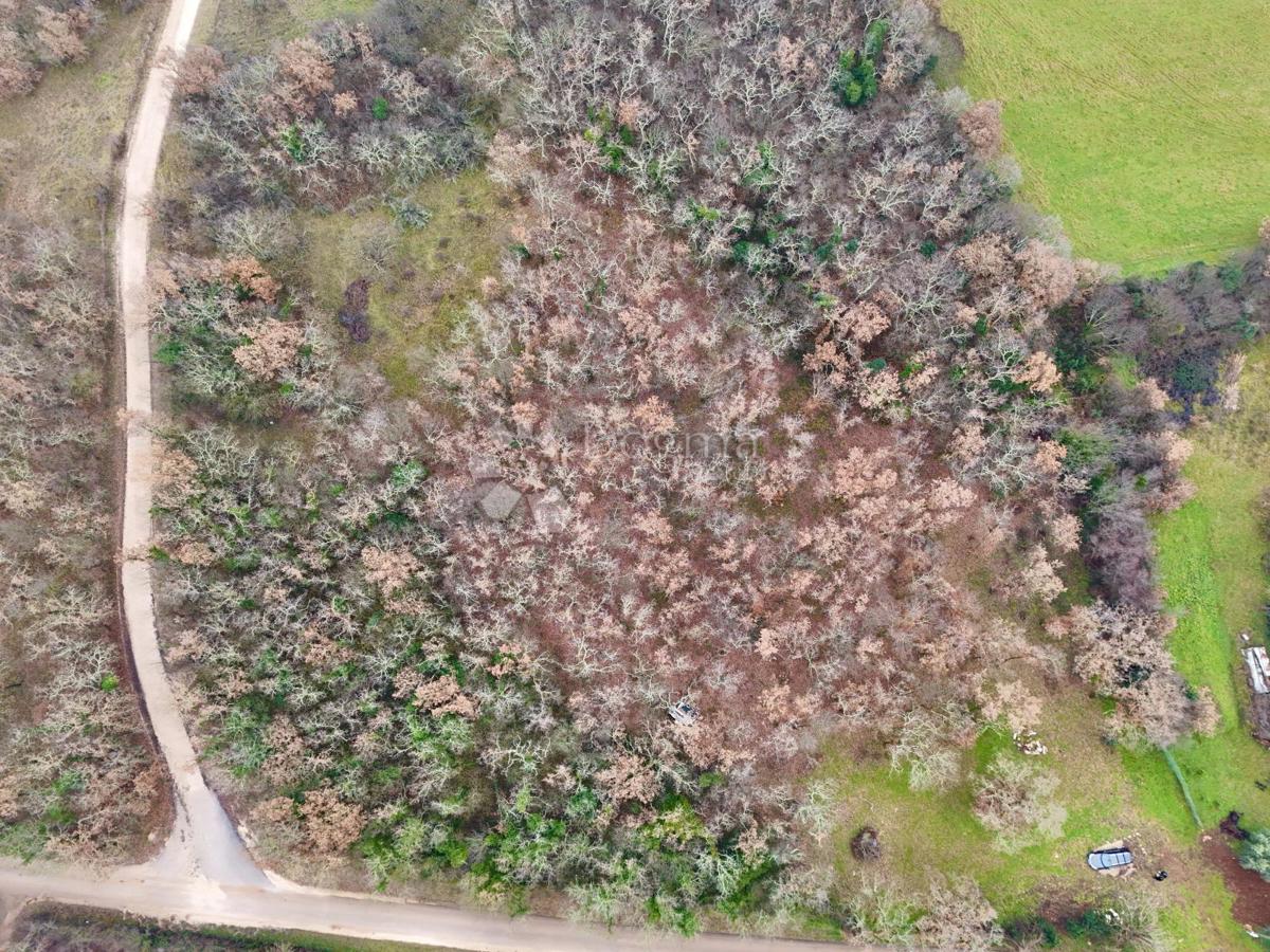 Terreno edificabile Materada, Umag, 414m2