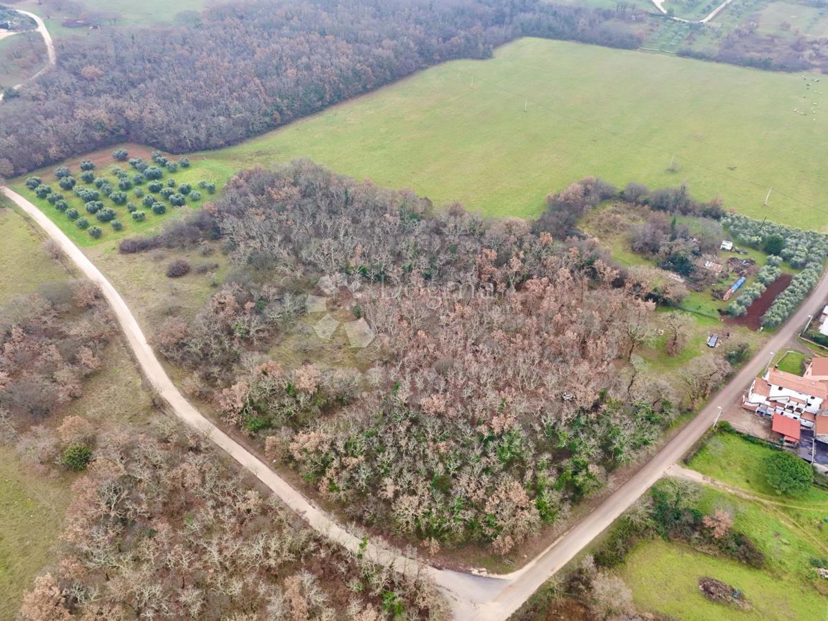 Terreno edificabile Materada, Umag, 414m2