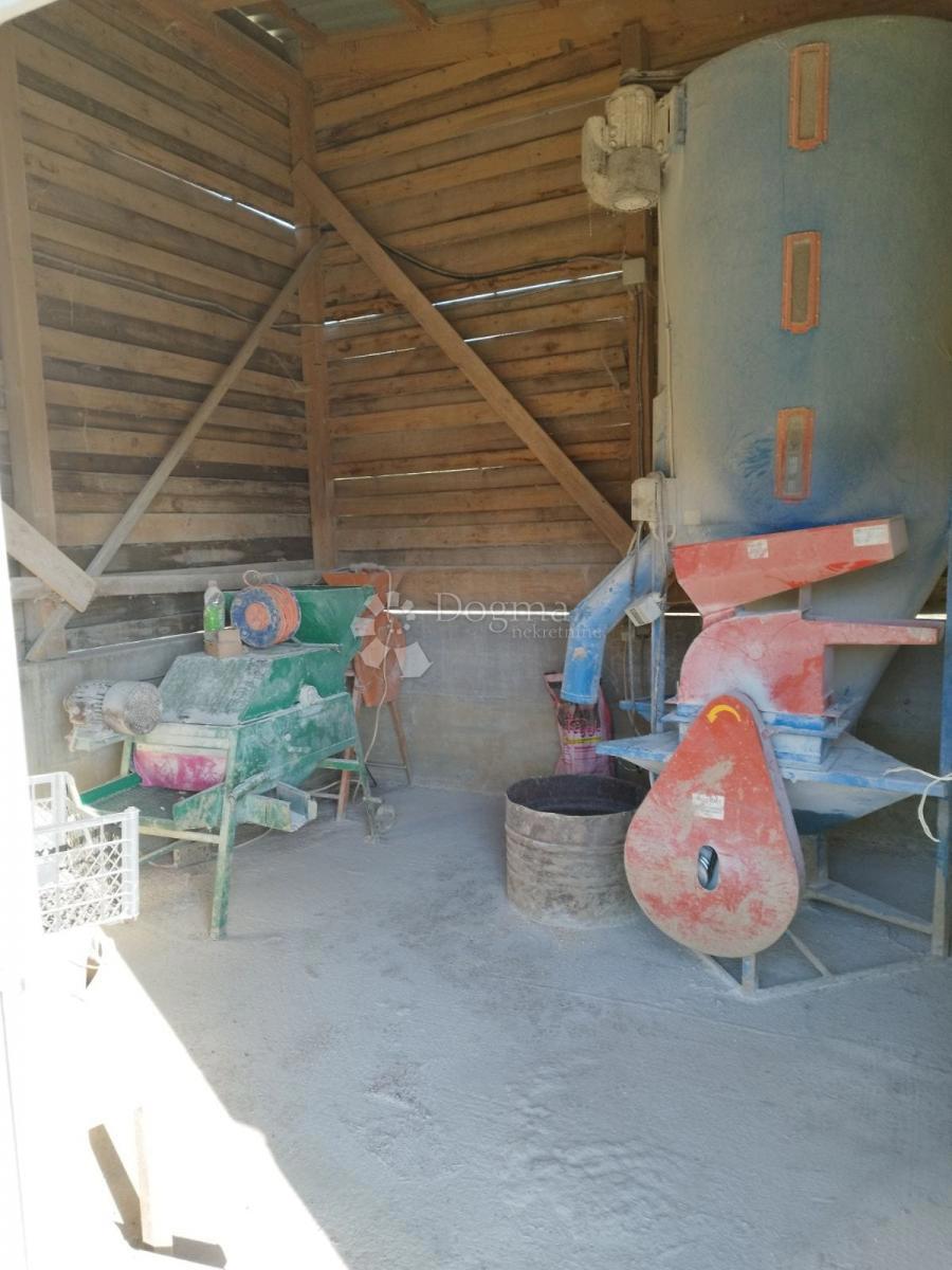 Terreno agricolo Kutjevo, 21.343m2