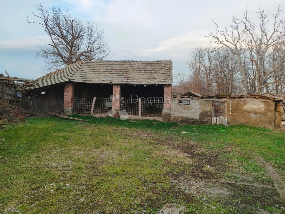 Terreno agricolo Kutjevo, 21.343m2