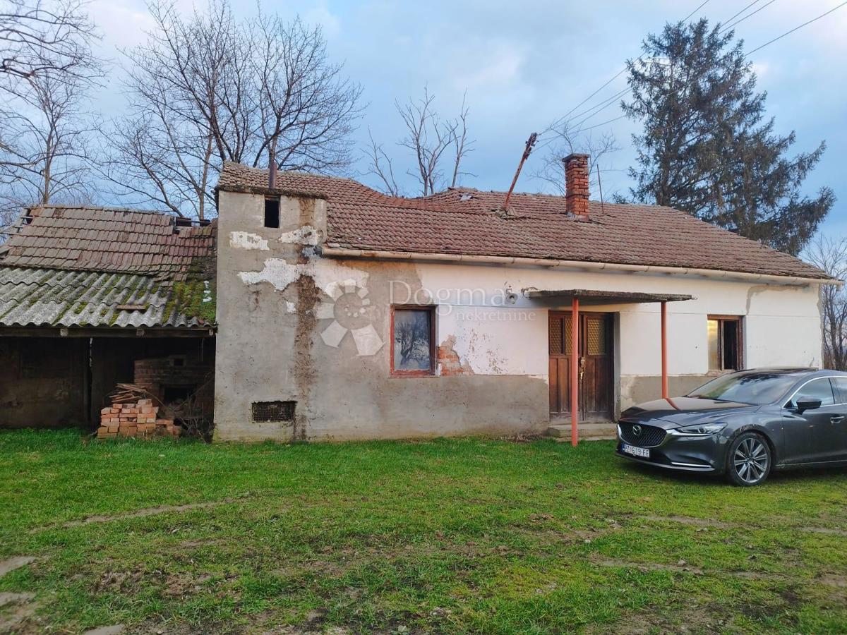 Terreno agricolo Kutjevo, 21.343m2