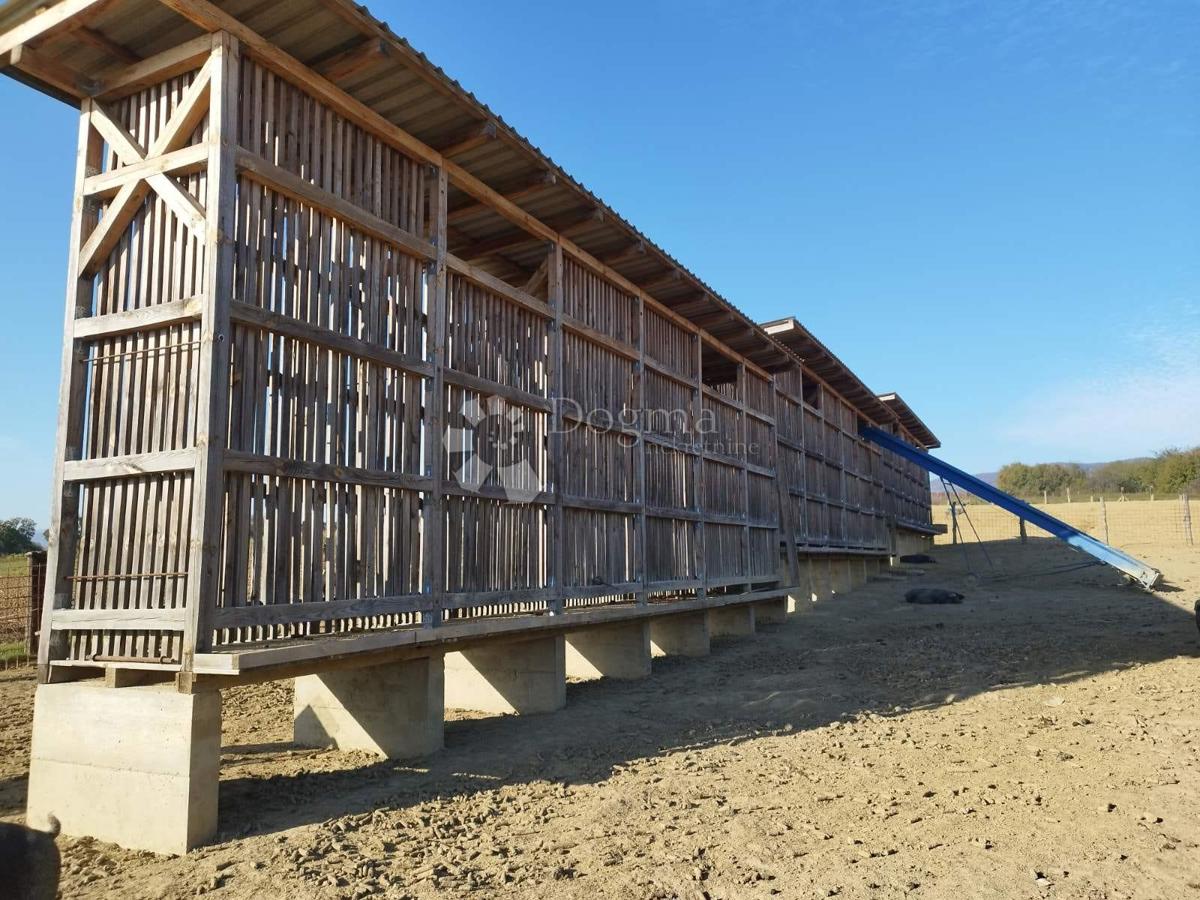 Terreno agricolo Kutjevo, 21.343m2