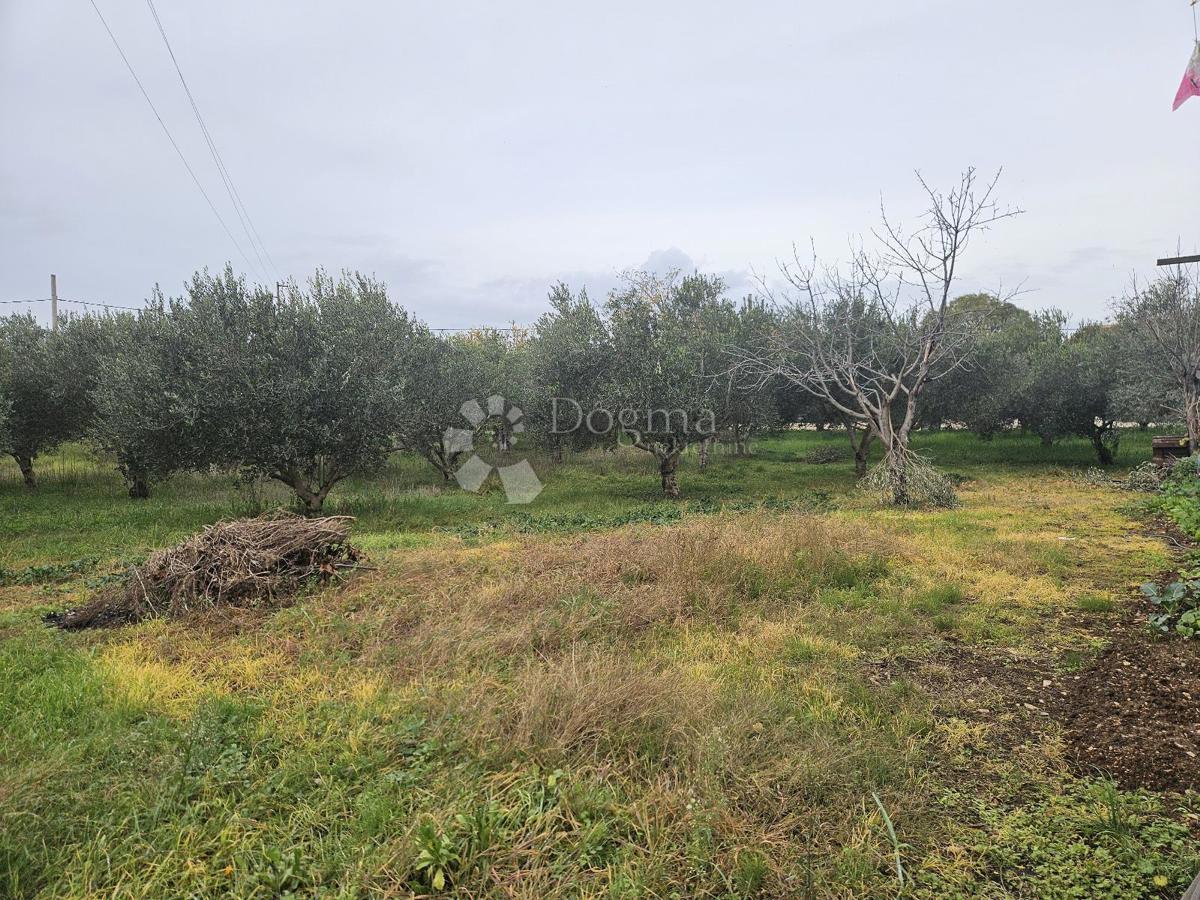 Terreno agricolo Polača, 2.278m2