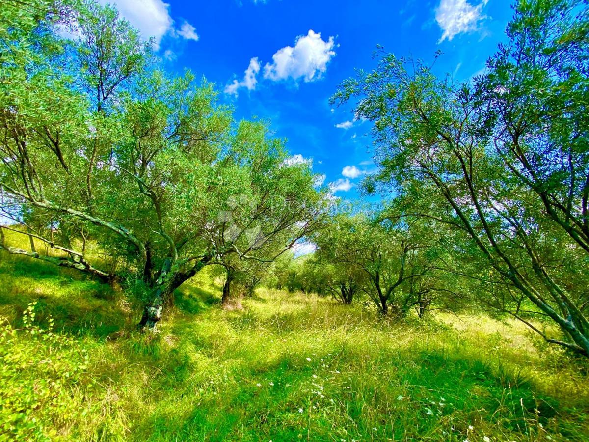 Proprietà unica con una splendida vista in Istria