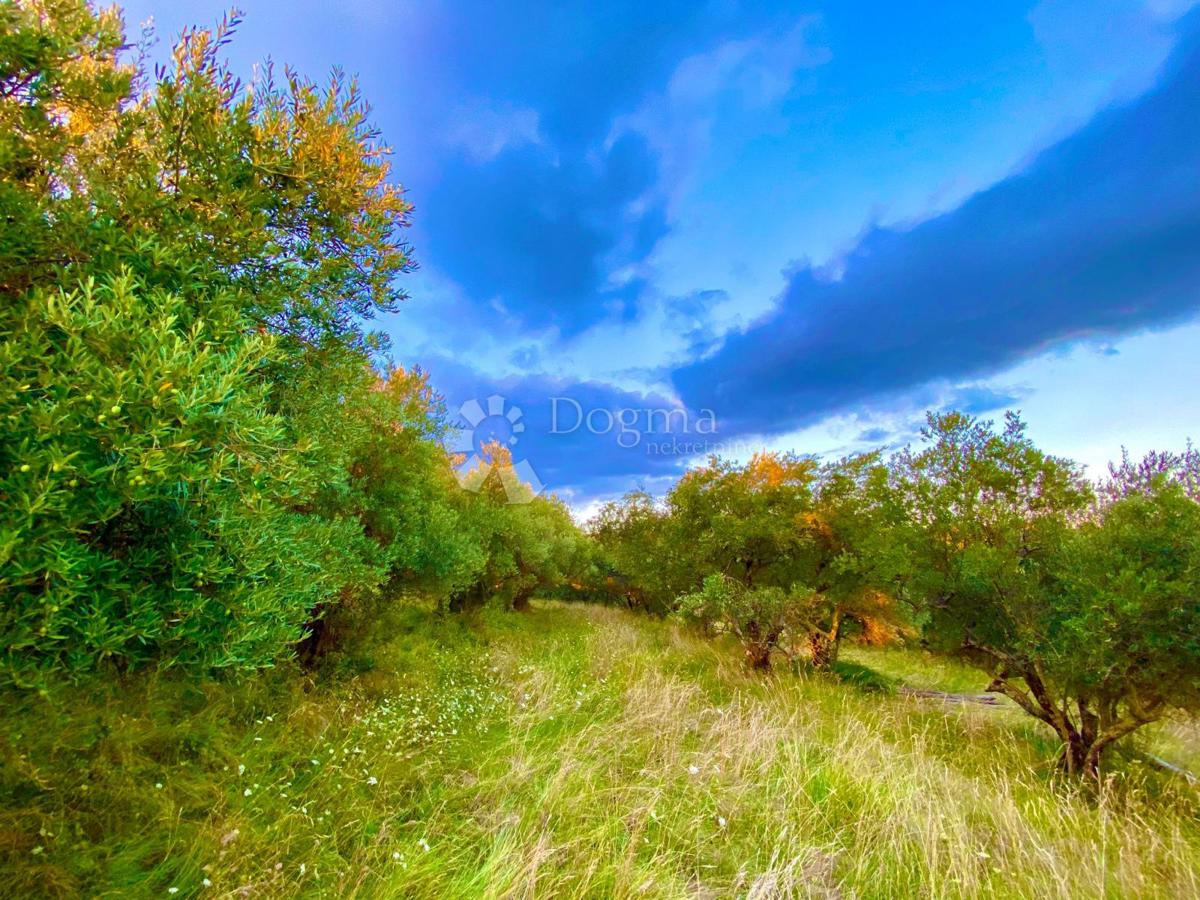 Proprietà unica con una splendida vista in Istria