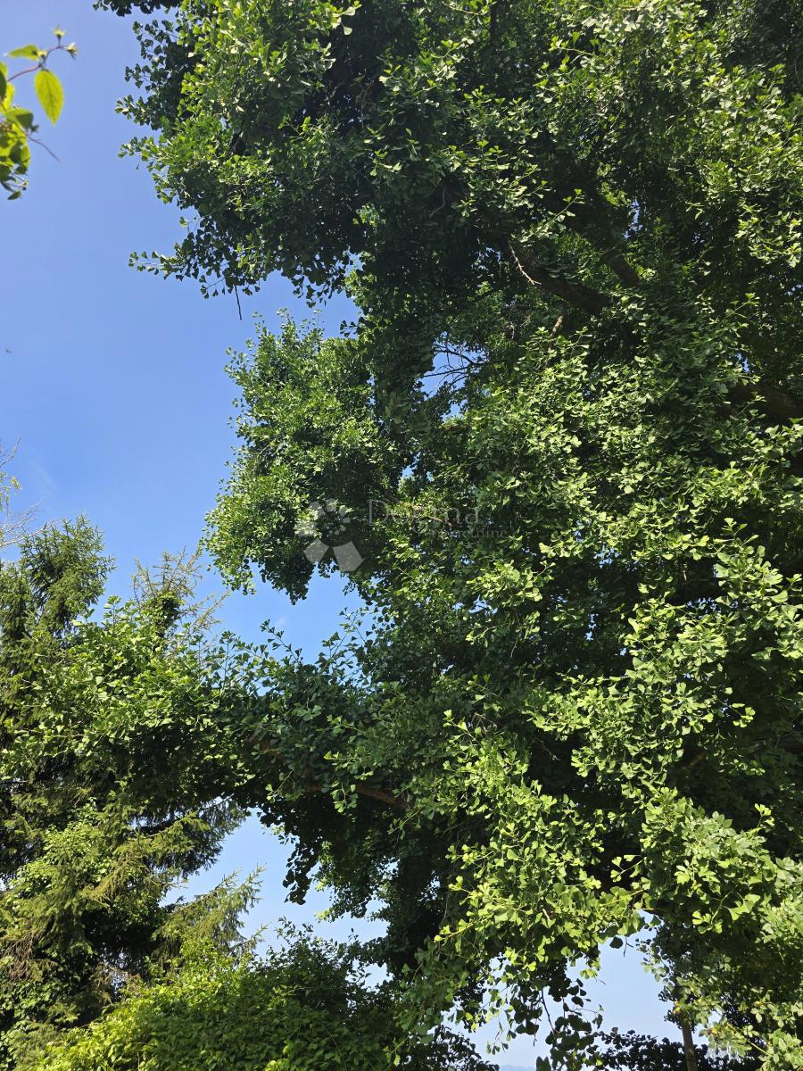 Casa Varaždin Breg, Gornji Kneginec, 90m2