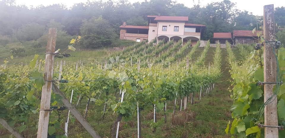 Casa Selno, Krapinske Toplice, 222m2