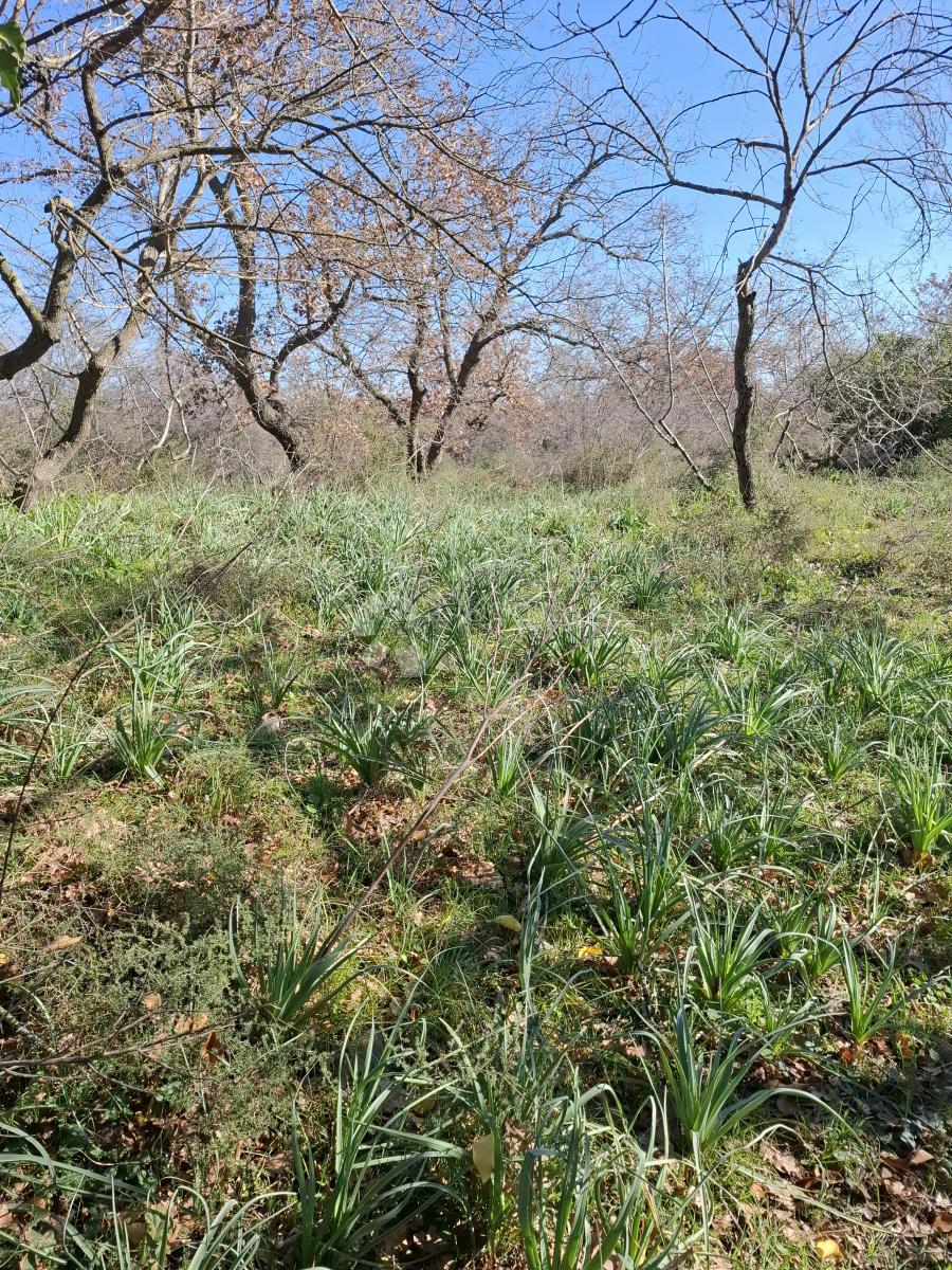 Terreno edificabile Suhovare, Poličnik, 1.093m2