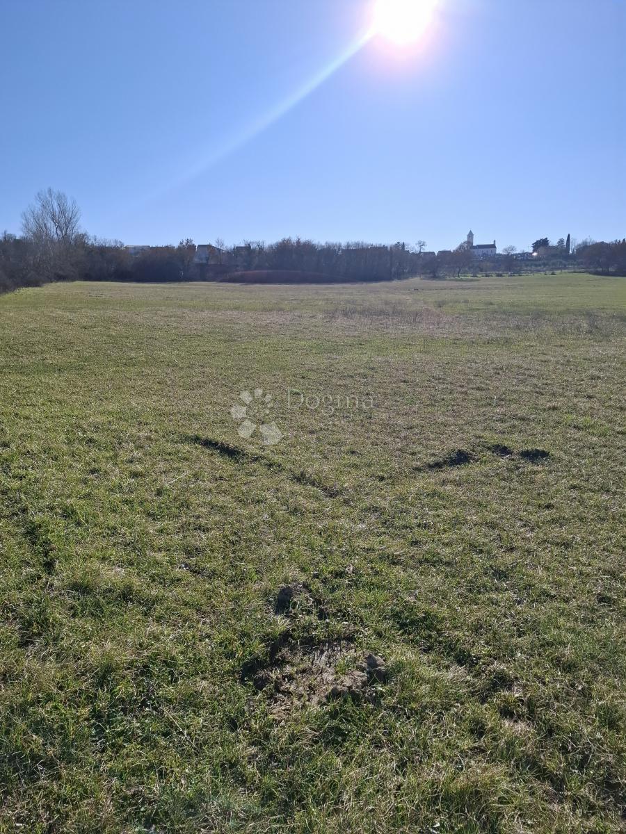 Terreno agricolo Suhovare, Poličnik, 5.794m2