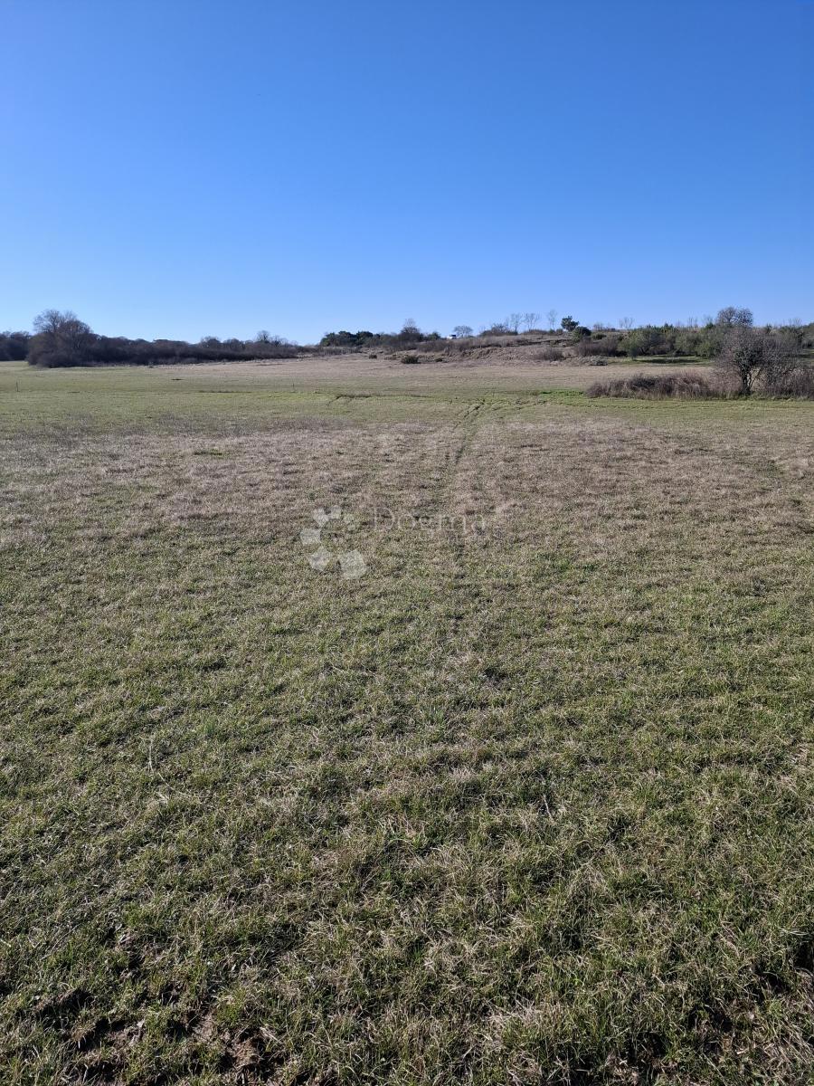 Terreno agricolo Suhovare, Poličnik, 5.794m2