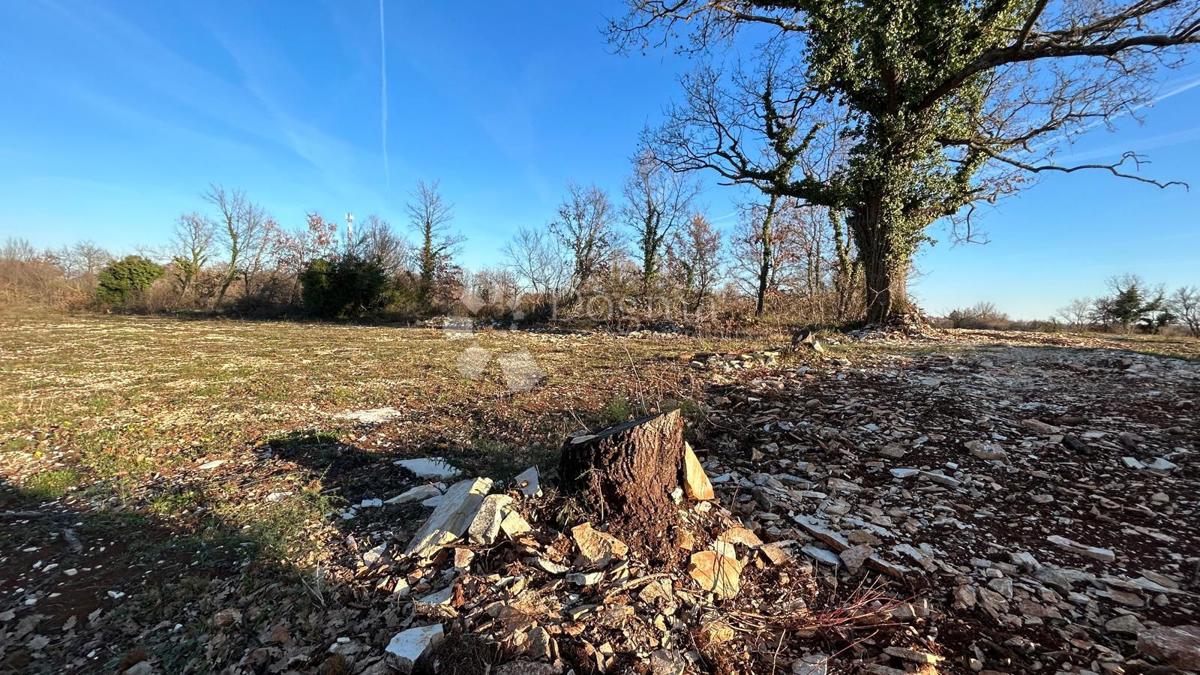 Terreno edificabile Kanfanar, 945m2