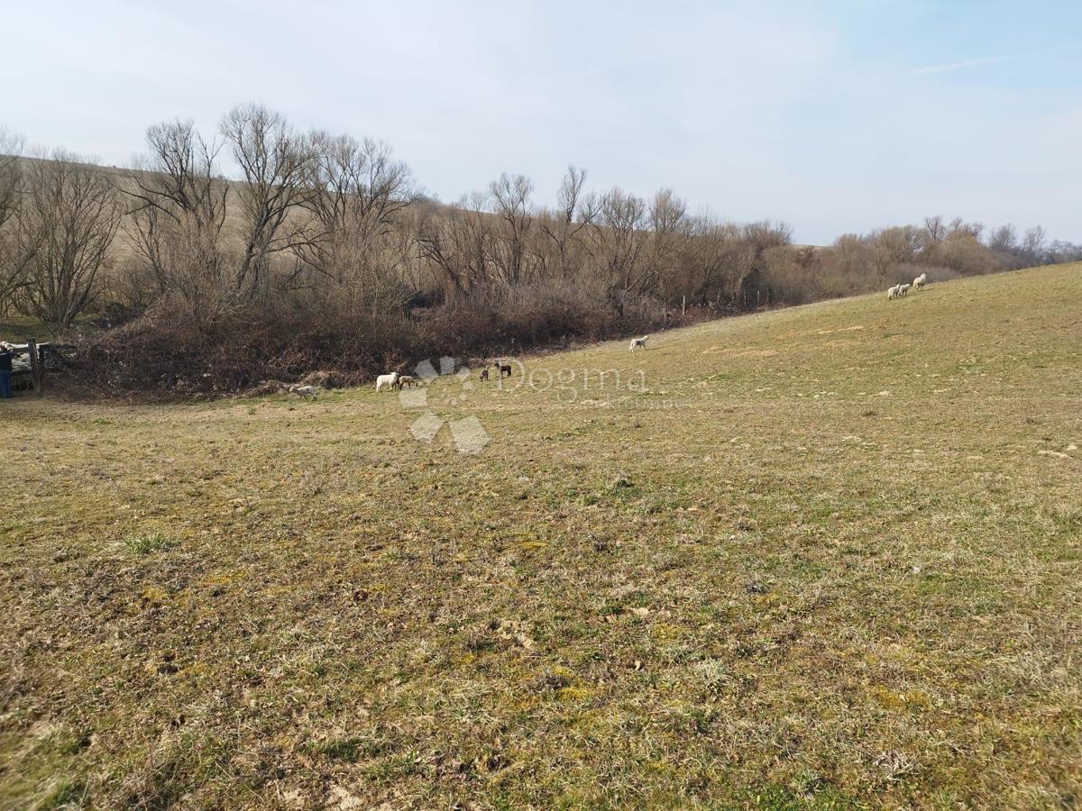 Terreno agricolo Kutjevo, 270.000m2