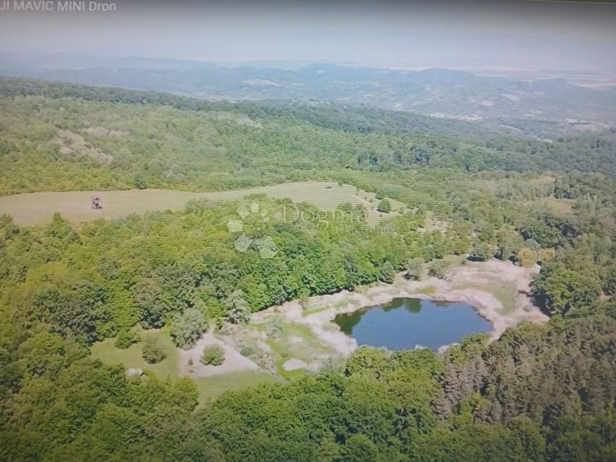 Terreno agricolo Kutjevo, 270.000m2
