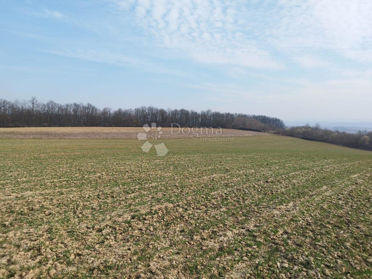 Terreno agricolo Kutjevo, 270.000m2