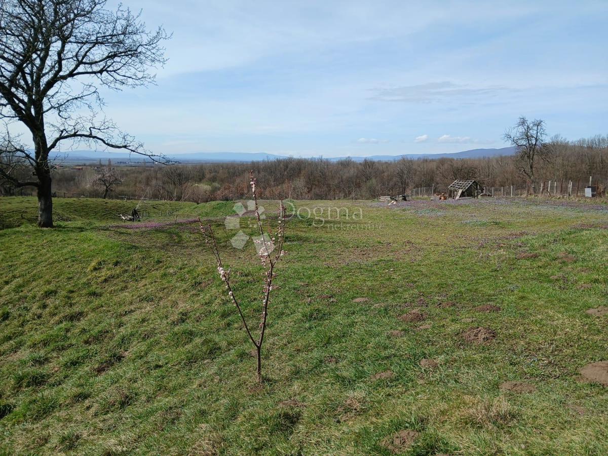 Terreno agricolo Kutjevo, 270.000m2