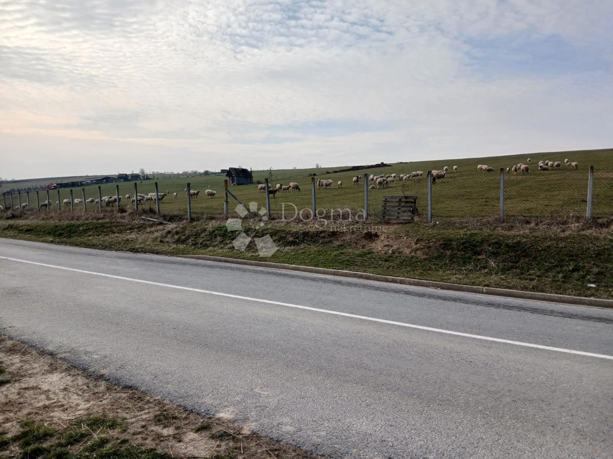 Terreno agricolo Kutjevo, 270.000m2