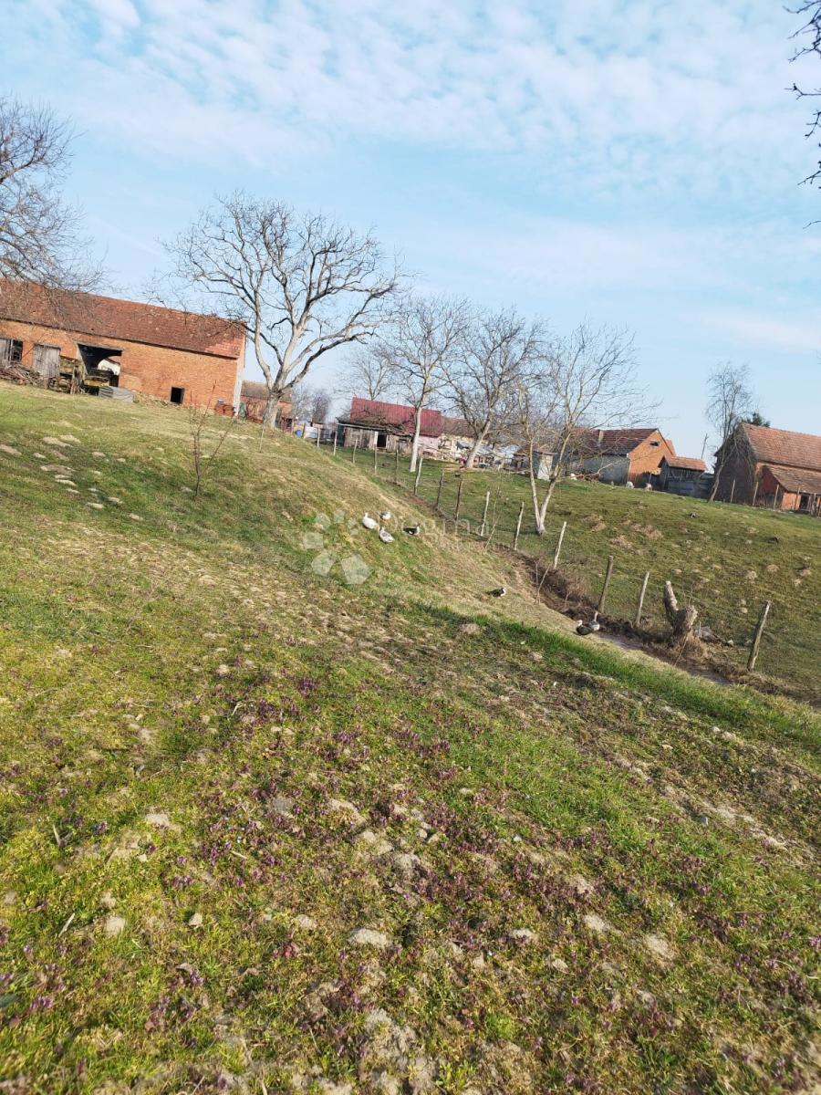 Terreno agricolo Kutjevo, 270.000m2