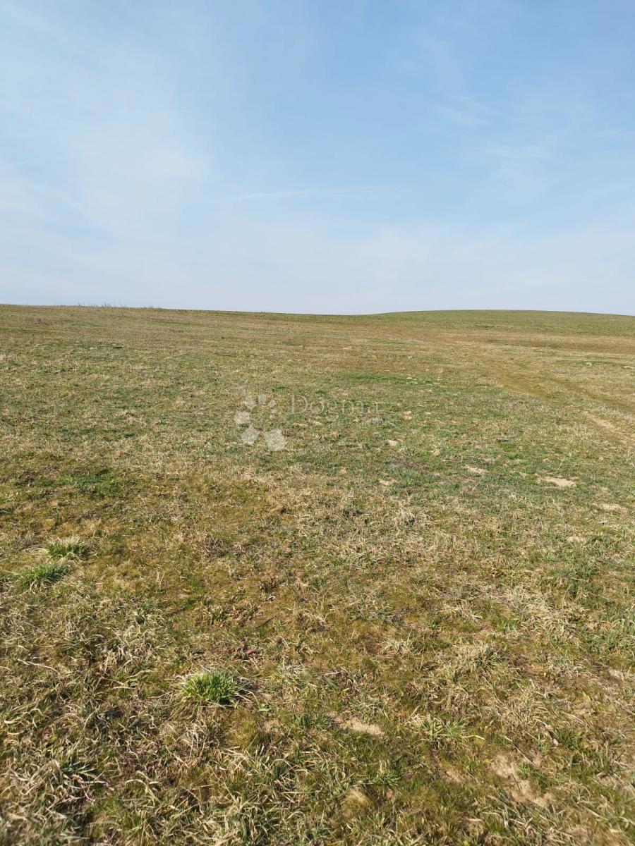 Terreno agricolo Kutjevo, 270.000m2